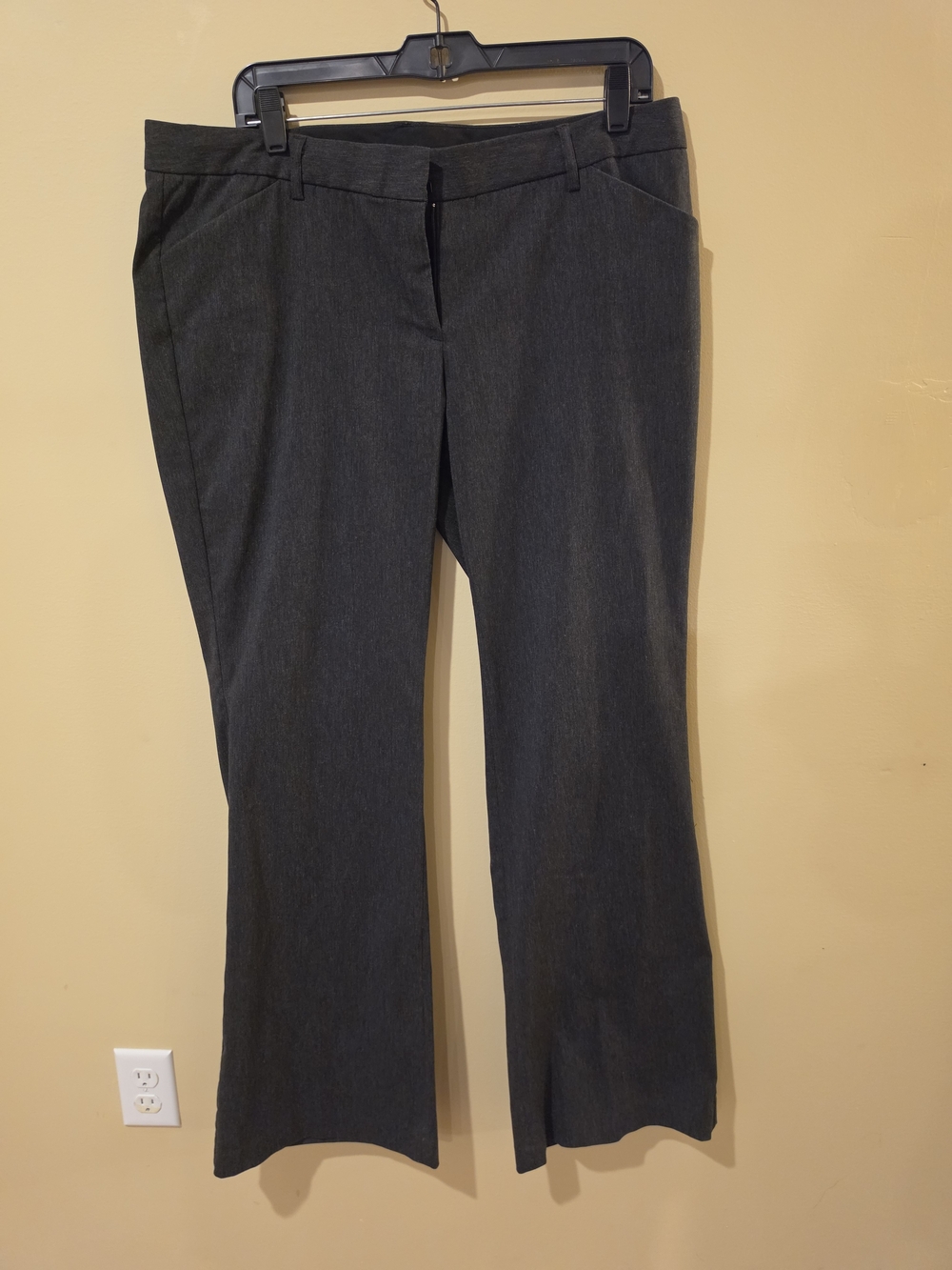 Express Women's Editor Pants - Dark Charcoal Gray